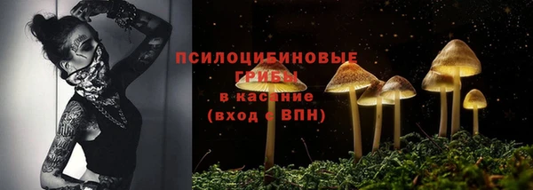 PSILOCYBIN Бугульма