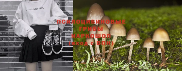 PSILOCYBIN Бугульма